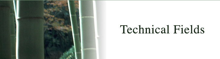 Technical Fields